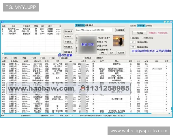互动弹幕数据分析系统升级，用户参与度提升品牌转化